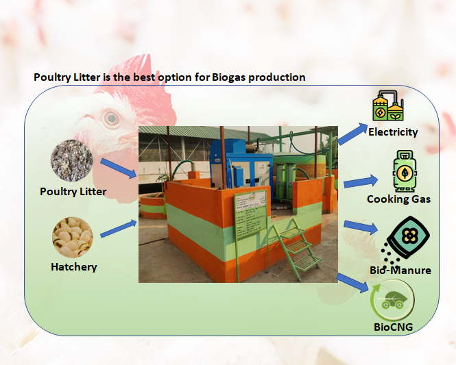 Eco-Friendly Sustainable Solutions