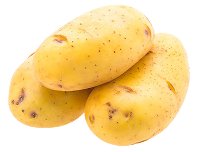 Potato
